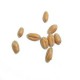  Пшеница для проращивания БИО