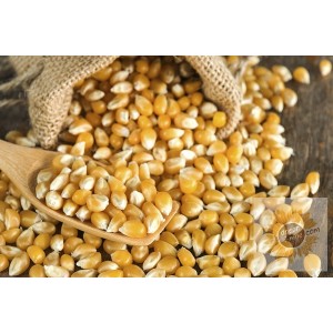 Органическая сладкая кукуруза (для проращивания и каши) - 500 г